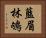 藍眉林鴝 Horizontal Portrait