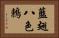 藍翅八色鶇 Horizontal Portrait
