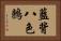 藍背八色鶇 Horizontal Portrait