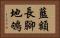 藍額長腳地鴝 Horizontal Portrait