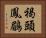 褐頭鳳鶥 Horizontal Portrait