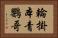 輪掛本青鸚哥 Horizontal Portrait