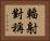 輻射對稱 Horizontal Portrait