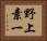 野上素一 Horizontal Portrait