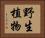 野生植物 Horizontal Portrait