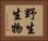 野生生物 Horizontal Portrait