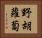 野胡蘿蔔 Horizontal Portrait