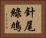 針尾綠鳩 Horizontal Portrait