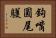 鉤嘴圓尾鸌 Horizontal Portrait