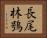 長尾林鴞 Horizontal Portrait