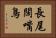 長尾闊嘴鳥 Horizontal Portrait