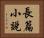 長篇小說 Horizontal Portrait