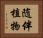 随伴植物 Horizontal Portrait