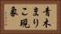 青木まりこ現象 Horizontal Portrait