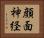 顔面神経 Horizontal Portrait