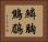 鱗胸鷦鶥 Horizontal Portrait