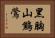 黑胸山鷦鶯 Horizontal Portrait