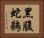 黑腹蛇鵜 Horizontal Portrait