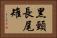 黑頸長尾雉 Horizontal Portrait