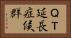 ＱＴ延長症候群 Horizontal Portrait