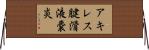 アキレス腱滑液嚢炎 Horizontal Wall Scroll