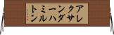 アレクサンダーハミルトン Horizontal Wall Scroll