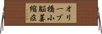 オリーブ橋小脳萎縮症 Horizontal Wall Scroll