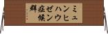 ミュンヒハウゼン症候群 Horizontal Wall Scroll