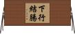 下行結腸 Horizontal Wall Scroll