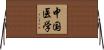 中国医学 Horizontal Wall Scroll