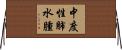中度性肺水腫 Horizontal Wall Scroll