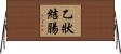 乙狀結腸 Horizontal Wall Scroll