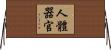 人體器官 Horizontal Wall Scroll
