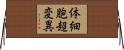 体細胞超変異 Horizontal Wall Scroll