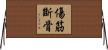 傷筋斷骨 Horizontal Wall Scroll
