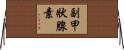 副甲狀腺素 Horizontal Wall Scroll