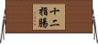 十二指腸 Horizontal Wall Scroll