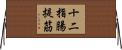 十二指腸提筋 Horizontal Wall Scroll