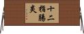 十二指腸炎 Horizontal Wall Scroll