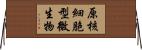 原核細胞型微生物 Horizontal Wall Scroll