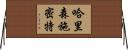 哈里森·施密特 Horizontal Wall Scroll