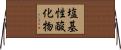 塩基性酸化物 Horizontal Wall Scroll