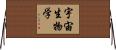 宇宙生物学 Horizontal Wall Scroll