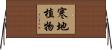 寒地植物 Horizontal Wall Scroll