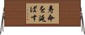 寿命を延ばす Horizontal Wall Scroll