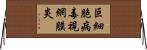 巨細胞病毒視網膜炎 Horizontal Wall Scroll