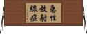 急性放射線症 Horizontal Wall Scroll