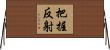 把握反射 Horizontal Wall Scroll
