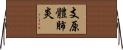 支原體肺炎 Horizontal Wall Scroll