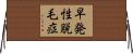 早発性脱毛症 Horizontal Wall Scroll